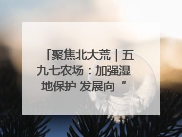 聚焦北大荒｜五九七农场：加强湿地保护 发展向“绿”而行