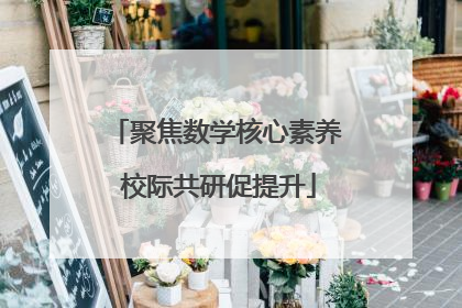 聚焦数学核心素养 校际共研促提升