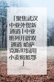 聚焦武汉中亚外贸新通道│中亚班列开辟双通道 哈萨克斯坦饲用小麦将抵鄂