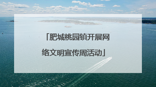 肥城桃园镇开展网络文明宣传周活动
