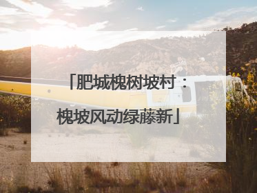 肥城槐树坡村：槐坡风动绿藤新