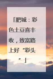 肥城：彩色土豆喜丰收，致富路上好“彩头”