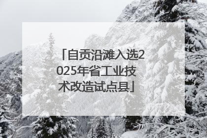 自贡沿滩入选2025年省工业技术改造试点县