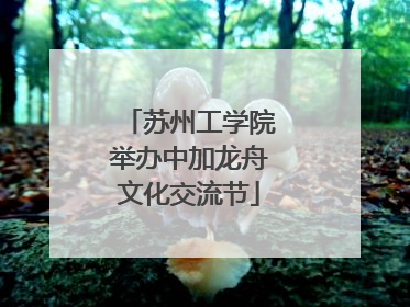 苏州工学院举办中加龙舟文化交流节