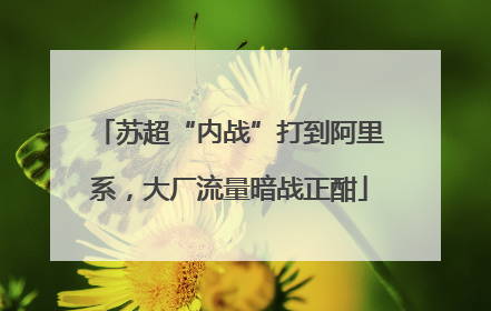 苏超“内战”打到阿里系，大厂流量暗战正酣
