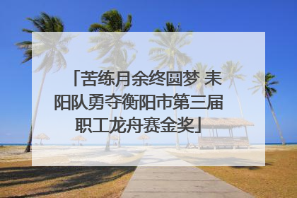 苦练月余终圆梦 耒阳队勇夺衡阳市第三届职工龙舟赛金奖