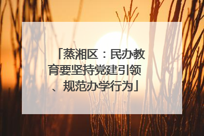 蒸湘区：民办教育要坚持党建引领、规范办学行为