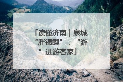 读懂济南｜泉城“胖锦鲤”，“游”进游客家