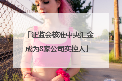 证监会核准中央汇金成为8家公司实控人