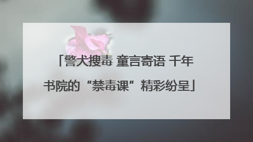 警犬搜毒 童言寄语 千年书院的“禁毒课”精彩纷呈