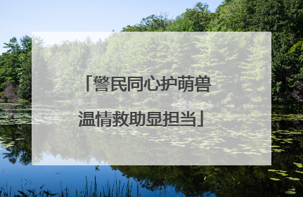 警民同心护萌兽 温情救助显担当