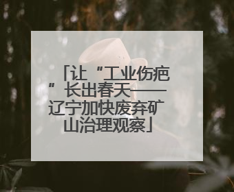 让“工业伤疤”长出春天——辽宁加快废弃矿山治理观察