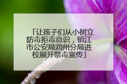 让孩子们从小树立防毒拒毒意识，镇江市公安局润州分局进校展开禁毒宣传