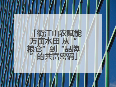 衢江山农赋能万亩水田 从“粮仓”到“品牌”的共富密码