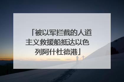 被以军拦截的人道主义救援船抵达以色列阿什杜德港