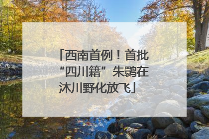 西南首例！首批“四川籍”朱鹮在沐川野化放飞