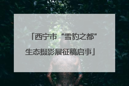 西宁市“雪豹之都”生态摄影展征稿启事