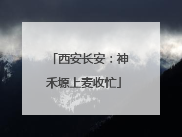 西安长安：神禾塬上麦收忙