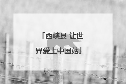 西峡县 让世界爱上中国菇
