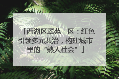 西湖区翠苑一区：红色引领多元共治，构建城市里的“熟人社会”
