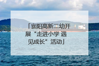 襄阳高新二幼开展“走进小学 遇见成长”活动