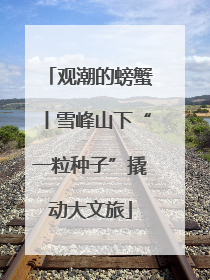 观潮的螃蟹丨雪峰山下“一粒种子”撬动大文旅