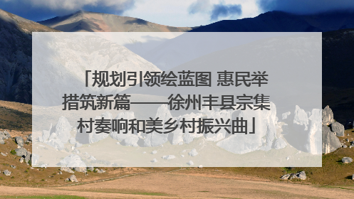 规划引领绘蓝图 惠民举措筑新篇——徐州丰县宗集村奏响和美乡村振兴曲