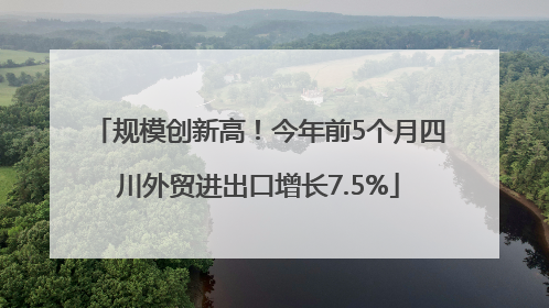 规模创新高！今年前5个月四川外贸进出口增长7.5%