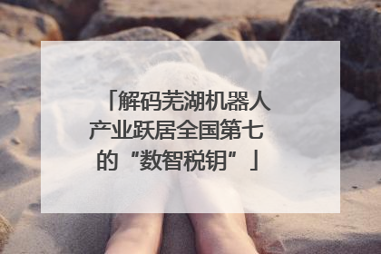 解码芜湖机器人产业跃居全国第七的“数智税钥”