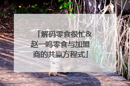解码零食很忙&赵一鸣零食与加盟商的共赢方程式