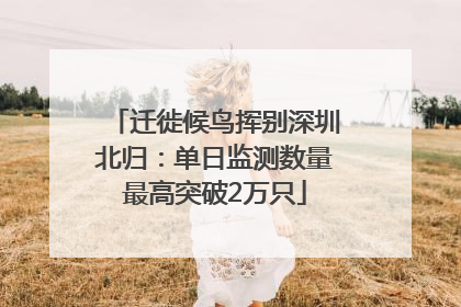 迁徙候鸟挥别深圳北归：单日监测数量最高突破2万只