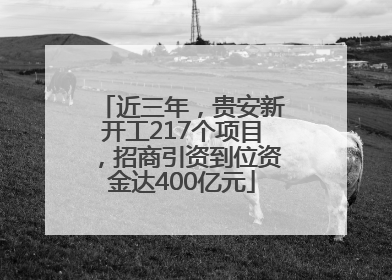 近三年，贵安新开工217个项目，招商引资到位资金达400亿元