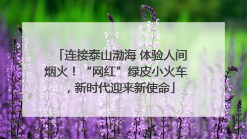 连接泰山渤海 体验人间烟火！“网红”绿皮小火车，新时代迎来新使命