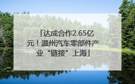 达成合作2.65亿元！温州汽车零部件产业“链接”上海