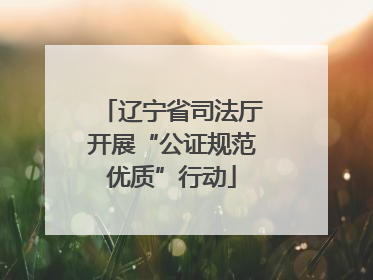 辽宁省司法厅开展“公证规范优质”行动