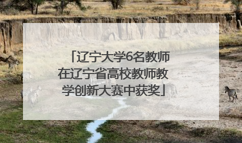 辽宁大学6名教师在辽宁省高校教师教学创新大赛中获奖