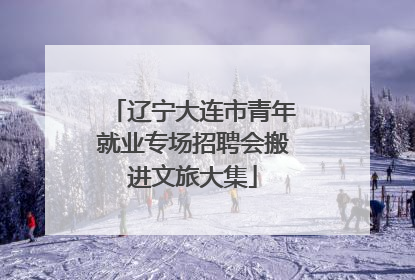 辽宁大连市青年就业专场招聘会搬进文旅大集