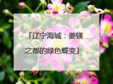 辽宁海城：菱镁之都的绿色蝶变