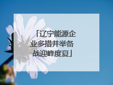辽宁能源企业多措并举备战迎峰度夏
