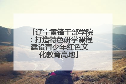 辽宁雷锋干部学院：打造特色研学课程 建设青少年红色文化教育高地