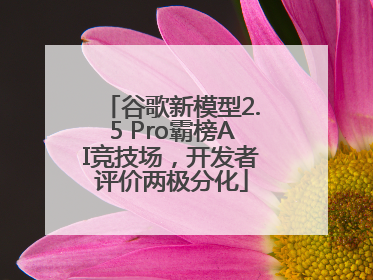 谷歌新模型2.5 Pro霸榜AI竞技场，开发者评价两极分化