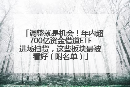 调整就是机会！年内超700亿资金借道ETF进场扫货，这些板块最被看好（附名单）
