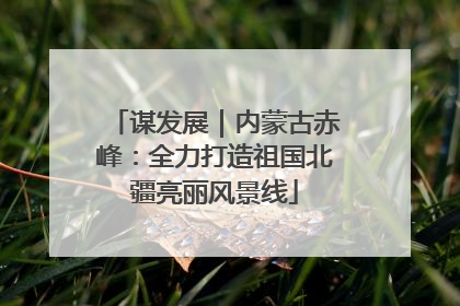 谋发展｜内蒙古赤峰：全力打造祖国北疆亮丽风景线