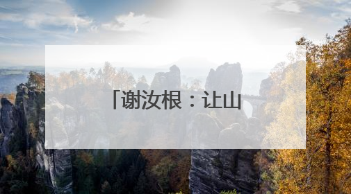 谢汝根：让山林既“常青”又“生金”