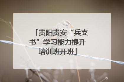贵阳贵安“兵支书”学习能力提升培训班开班