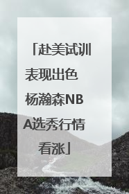 赴美试训表现出色 杨瀚森NBA选秀行情看涨