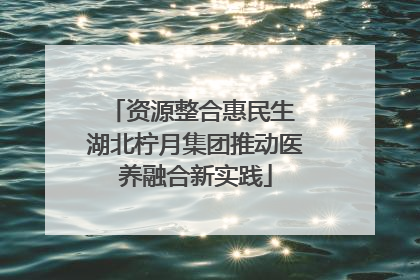 资源整合惠民生 湖北柠月集团推动医养融合新实践
