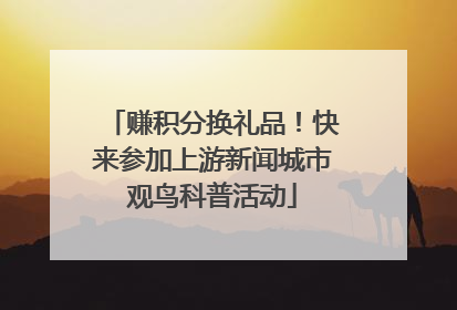 赚积分换礼品！快来参加上游新闻城市观鸟科普活动