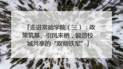走进常德学院（三）：政策筑基、引凤来栖，锻造校城共享的“双师铁军”