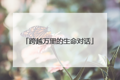 跨越万里的生命对话